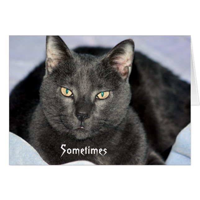 Funny Shake My Head card (Front Horizontal)