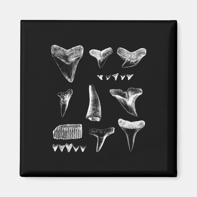 Funny Shark Teeth Design For Men Women Shark Teeth Magnet (Front)