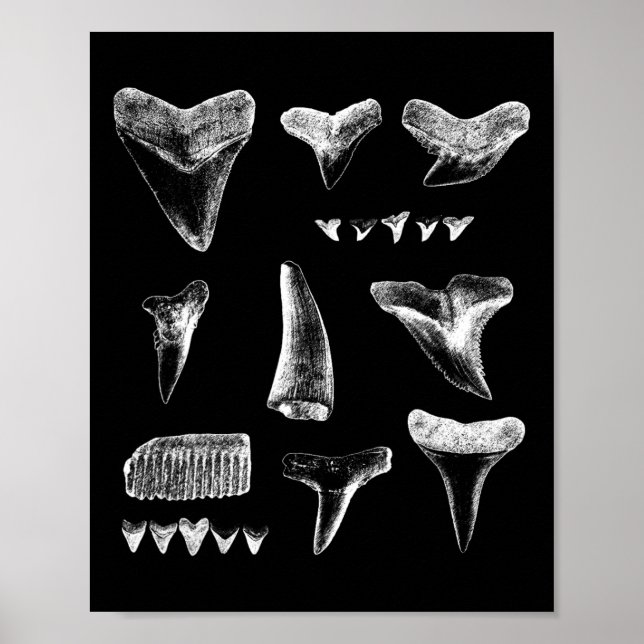 Funny Shark Teeth Design For Men Women Shark Teeth Poster (Front)