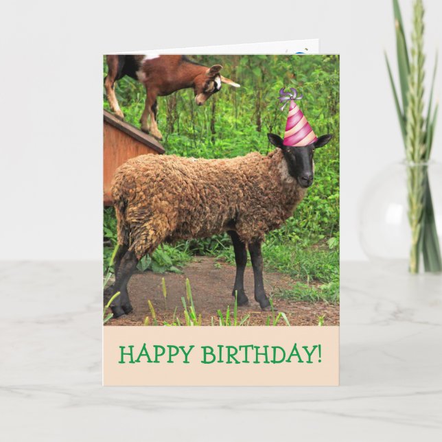 Funny Sheep And Goat Birthday Card (Front)