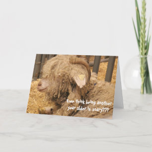 Funny Sheep Birthday, Old, Bad Hair Day! Card