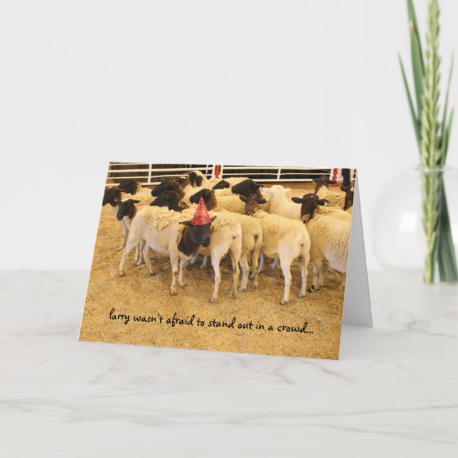 Funny Sheep birthday, "stand out in a crowd" Card (Front)