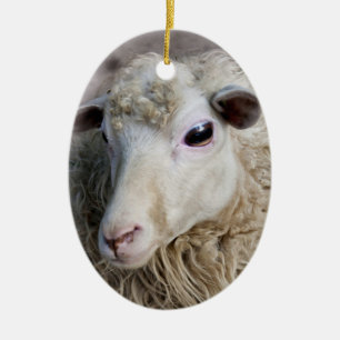 Funny Sheep Ceramic Tree Decoration