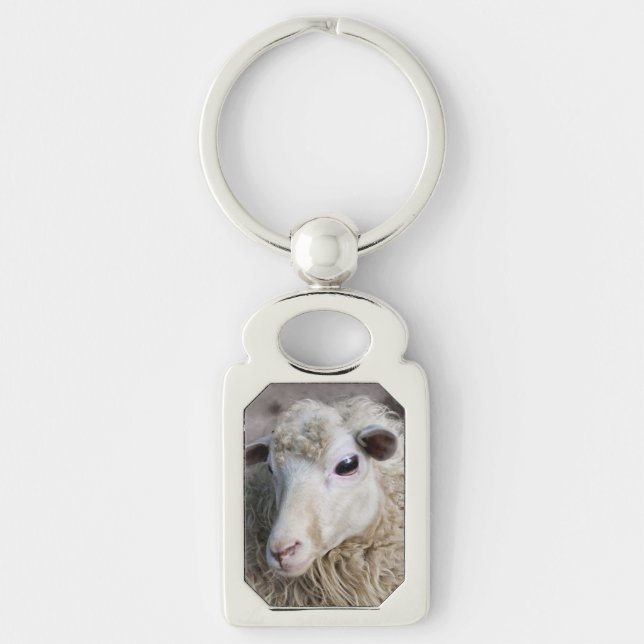 Funny Sheep Key Ring (Front)