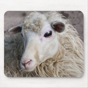 Funny Sheep Mouse Pad