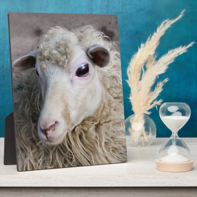 Funny Sheep Plaque (Side)