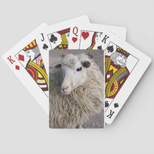 Funny Sheep Playing Cards
