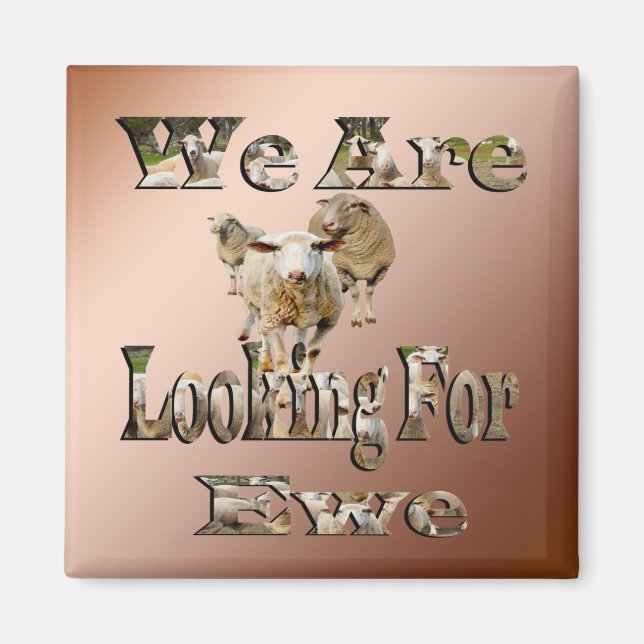 Funny Sheep Pun Looking For Ewe, Fridge Magnet (Front)