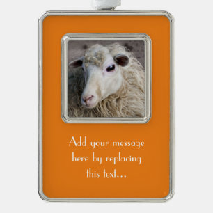 Funny Sheep Silver Plated Framed Ornament