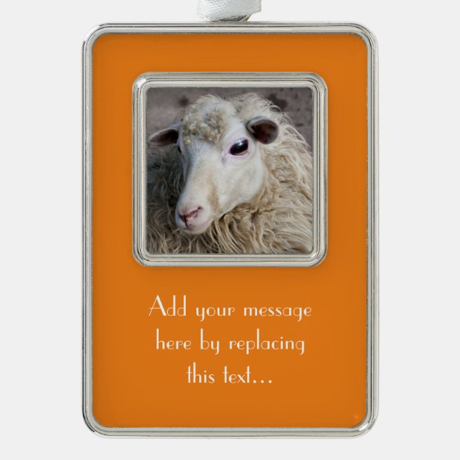Funny Sheep Silver Plated Framed Ornament (Front)