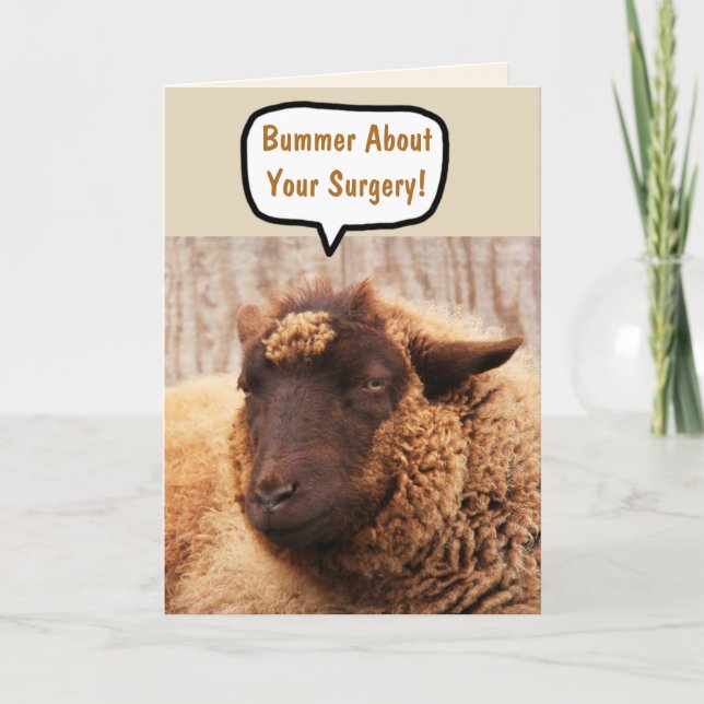 Funny Sheep Surgery Card (Front)