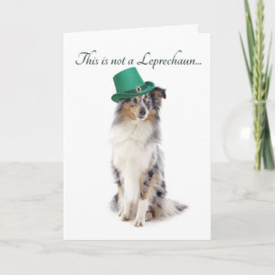 Funny Sheltie St. Patrick's Day Card