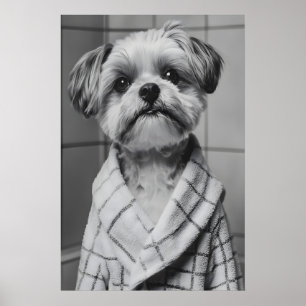 Funny Shih Tzu Bathrobe Print, Quirky Dog Bathroom Poster