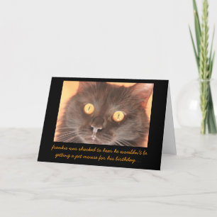Funny Shocked Cat Birthday Card, birthday wishes.. Card