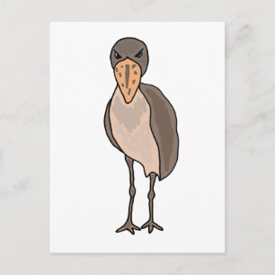 Funny Shoebill Bird Design Postcard