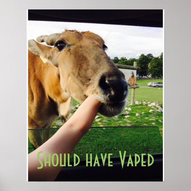 Funny should have Vaped poster (Front)