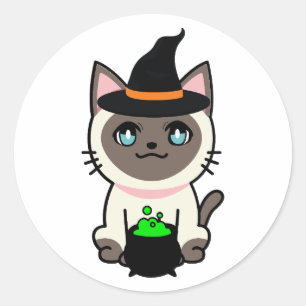 Funny Siamese cat is a witch Classic Round Sticker