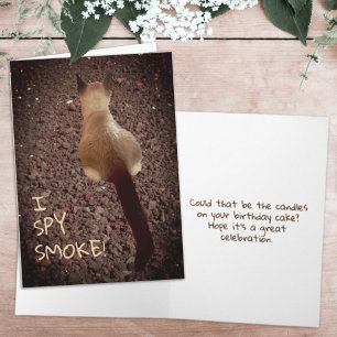 Funny Siamese Kitten Butt Photo Belated Birthday Card