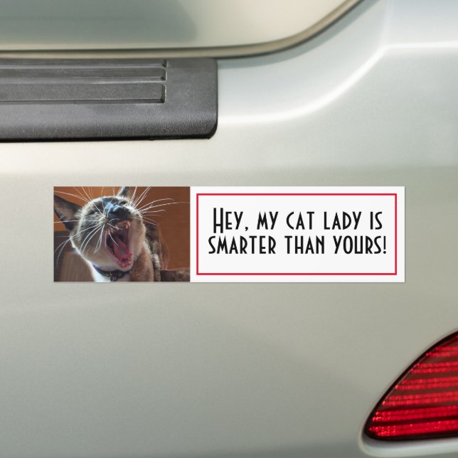 Funny Siamese Kitten Custom Photo Template Bumper Sticker (On Car)