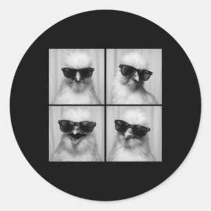 Funny Silkie Chicken Lover Cute Farm Animal Photo  Classic Round Sticker