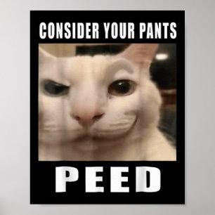 Funny Silly Cat Memes By 919 Designs Consider Your Poster