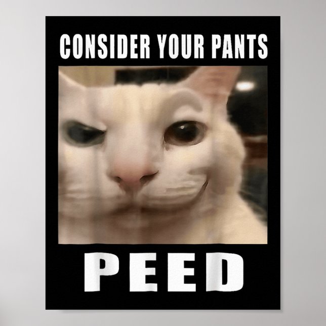 Funny Silly Cat Memes By 919 Designs Consider Your Poster (Front)