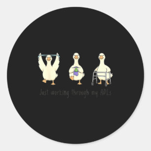 Funny silly goose ot occupational therapist back classic round sticker