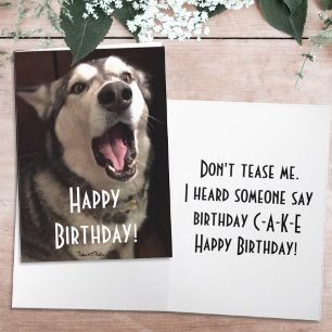 Funny Singing Alaskan Malamute Dog Photograph Card