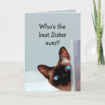 Funny Sister Birthday Wishes Siamese Cat Card<br><div class="desc">Funny Sister Birthday Wishes Siamese Cat Animal Humour you up.   Perfect for that Sister in your life with a sense of humour,  a love of cats and a birthday</div>