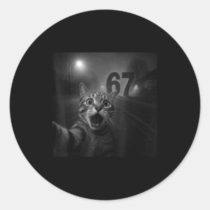 Funny Six Seven 6 7 Meme Gen Z Alpha Slang Cat Sel Classic Round Sticker