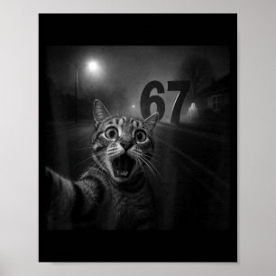 Funny Six Seven 6 7 Meme Gen Z Alpha Slang Cat Sel Poster