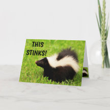 Funny Skunk Feel Better