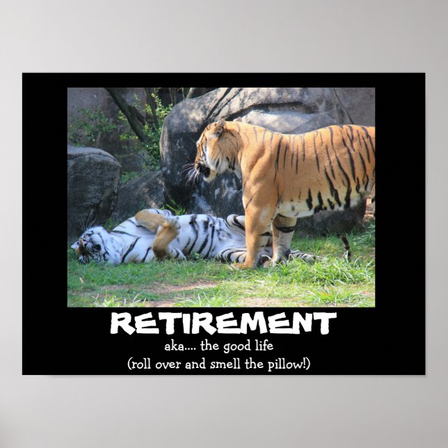 Funny Sleeping Tiger (16x12), RETIREMENT Poster (Front)