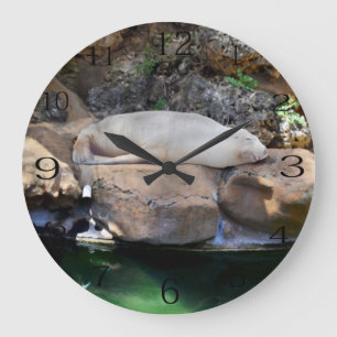 Funny Sleeping White Sea Lion, Large Clock