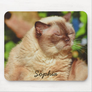 Funny Sleepy Cat&For Kitten Lovers Mouse Pad