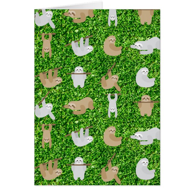 funny sloths (Front)