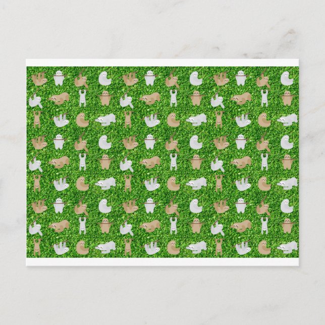 funny sloths postcard (Front)