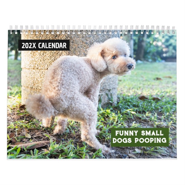 Funny Small Dogs Pooping 2026 Calendar (Cover)