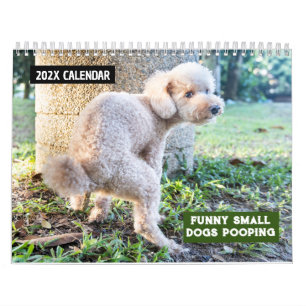 Funny Small Dogs Pooping 2026 Calendar