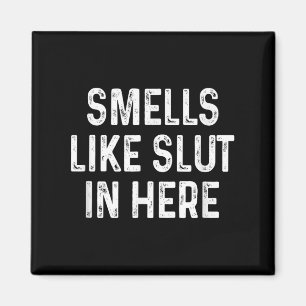 Funny Smells Like In Here Offensive Adult Humor  Magnet
