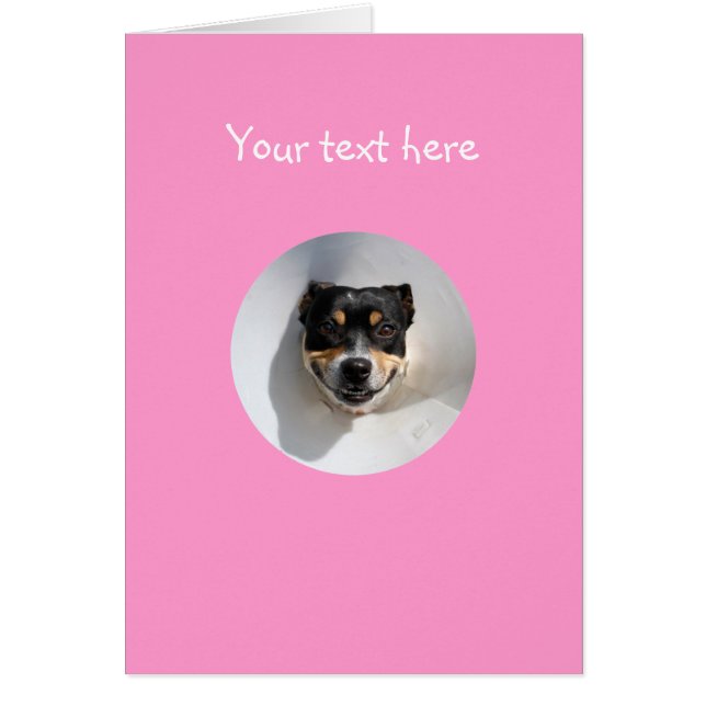 Funny smiling dog (Front)