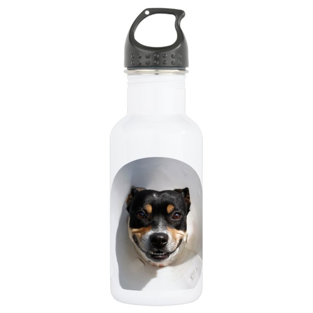 Funny smiling dog 532 ml water bottle (Front)