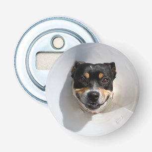 Funny smiling dog bottle opener