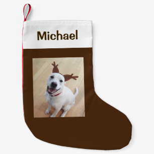 Funny Smiling White Reindeer Dog Photo Brown Small Christmas Stocking