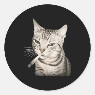 Funny Smoking Cat Cigarette Kitty Gen Z Meme  Classic Round Sticker