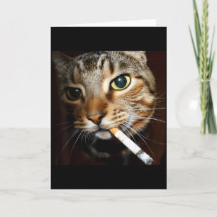 Funny Smoking Cat Meme Dark Humour Sarcastic Cat A Card