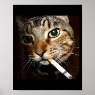 Funny Smoking Cat Meme Dark Humour Sarcastic Cat A Poster
