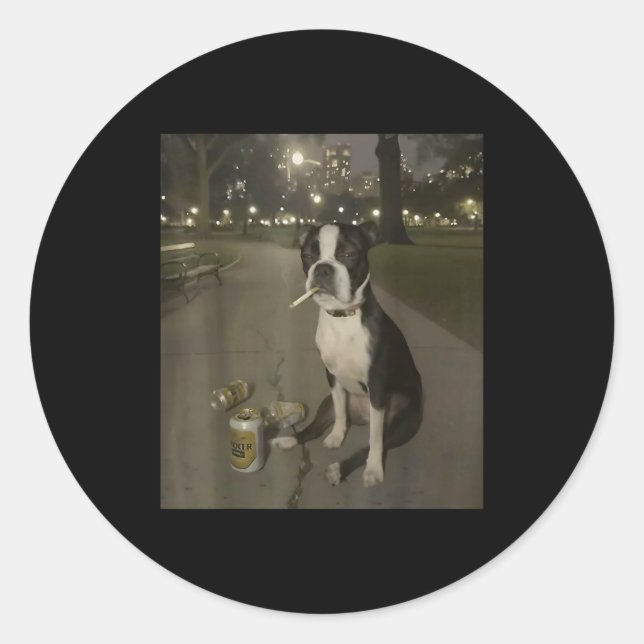 Funny Smoking Dog Meme Cigarette Gen Z Meme Dog Lo Classic Round Sticker (Front)