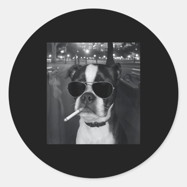 Funny Smoking Dog Meme Cigarette Gen Z Meme Dog Lo Classic Round Sticker (Front)