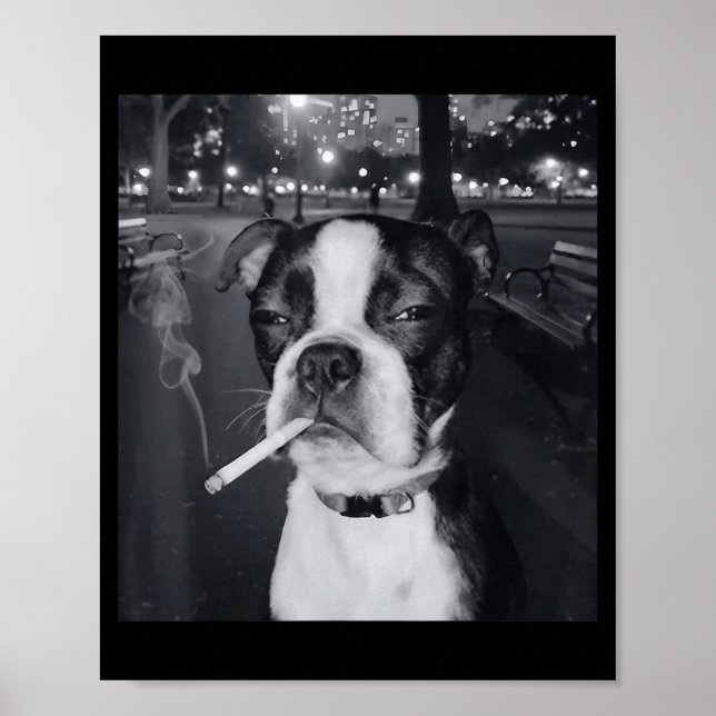 Funny Smoking Dog Meme Cigarette Gen Z Meme Dog Lo Poster (Front)